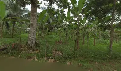 Restaurante N’Guembú